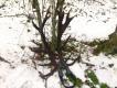 Jest parunia! 6,20kg r�a 27cm d�ugo�� 100cm