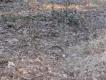 drugi le�a� 100m dalej

