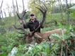 15-09-2011
�yciowy: 195 pkt CIC
