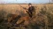 Ostatni dziczy dublet w sezonie. Strzelone pod koniec lutego. Id�c mi�dzy polem, a tym widocznym trzcinowiskiem spostrzeg�em sporego dzika na brzegu trzcin. Widz�, �e mnie obserwuje. Gotowy do strza�u czekam co si� dalej wydarzy. Mija minuta, dwie, trzy, a on dalej stoi i patrzy. W ko�cu rusza i widz�, �e locha. Zaraz za ni� pojawia si� warchlak i zostaje w ogniu. Ca�a wataha rusza w pole i k�ad� drugiego warchlaka. Zacz��em u�ywa� ochronnik�w s�uchu, bo w uszach mi nieraz po strzale "piszczy" :-D. Darz B�r!