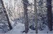 Tak wygl�da ten teren zim�.