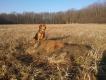Koniec ubieg�ego sezonu. �wit w towarzystwie Energii :)
Darz B�r!!!