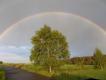 T�cza i Brzoza - ot co