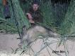 Kolejny przelatek pozyskany z podchodu.....(kal.308,amo sako hh)....