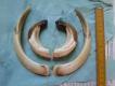 Pi�kne fajki, troszk� s�absze szable. D�u�sza 18,7 cm, kr�tsza 18,5. DB.