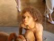 Muzeum Historii Naturalnej w Wiedniu