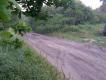 Dwa koty przysz�y zobaczy� kto to strzela�.