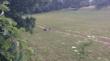 

Musze zaopatrzy� sie w aparat... Saumada i Basior takie fajne fotki robi� :) robione telefonem, w sumie 4 lochy i 23 pasiaki :) 