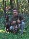 Jedyne kaczki strzelone w ko�cz�cym si� ju� sezonie. U mojego boku suka wy�e� niemiecki kr�tkow�osy Kora z Czarnego Dworu