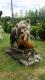 Tak chcia�em �eby wygl�da�...i tak mi go zrobiono 