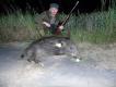 Spa� w rzepaku o godzinie 21 wyszed� na pszenice....
