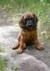 Nowy cz�onek rodziny - Lora
