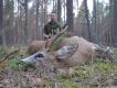 �smy rogacz w sezonie, ugania� sie za koz� wiek 5- 6 rok �ycia.