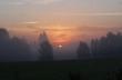 Wczorajsze wyj�cie z rana za grzybami z takim widokiem a do tego rycza�o 6 byk�w,dla takich chwil warto rano wsta�