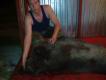 Odyniec 120kg, Najwi�kszy jak do tej pory