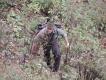 M�j podprowadzajacy Kristoff. M�ody, 25 letni austriacki le�nik i my�liwy. Sam poszed� po kozice 250 metr�w w d� prawie po pionowej �cianie... Ja si� nie odwa�y�em...  