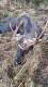 Bia�oru� 2015. M�j pierwszy �o�.
