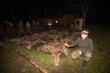 Naj�adniejszy pokot w historii ko�a.3 mioty w tym jeden ''szwedzki'' 43 sztuki zwierzyny grubej w tym 26 jeleni,12 dzik�w i 5 saren.Byk, 2 �anie i 2 ciel�ta da�y mi tytu� kr�la polowania.