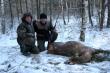 �ania strzelona na pierwszym �niegu.Waga 85 kg .
