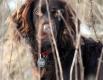 Ruchliwy by�, ale chcia� �eby do niego zadzwoni�.