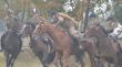 z Eustachy Hubertus Jan�w Podlaski 2015