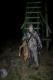 Lisek zwabiony z odleg�o�ci 300 metr�w strzelony na 100 metr�w :)