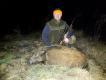 To ju� ostatni, chyba 20-sty kabanek tego sezonu 2015/2016 Darz B�r.