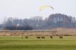 Lata� nisko i g�o�no. Ciekawe, �e �urawie siedzia�y na ziemi ale sarny ucieka�y. 28-02-2016
