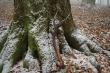 Tak wygl�da w ca�o�ci . Waga 2,60kg. Niestety drugiej tyki nie uda�o si� odszuka� 
