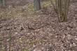 22.03.16r Uda�o si� troch� wcze�niej sko�czy� prace i p�j�� na zrzuty,z takim oto efektem,12-stak 1,95kg(15)