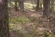 22.03.16r Uda�o si� troch� wcze�niej sko�czy� prace i p�j�� na zrzuty,z takim oto efektem,10-tak 1,65kg(16)