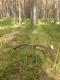 03-04-2016 nic pot�nego ale jest 10-tak  1.15kg