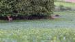 Zdj�cie zrobione o godzinie 20:51  brakowa�o ju� troch� �wiat�a … 