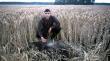 �w, Hubert Darzy . Trzeci  przelatek Darz b�r 
