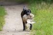 I na podch�d i po farbie i po pi�ro :-)