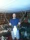 Dzie� "po" m�j byk tak si� w�a�nie prezentuje, wiek 9 lat, waga 6.7 kg na mokro. Darz b�r!