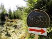 Strzelectwo w Szwecji to nie tylko 'test �osia' czy trap nordycki. Bardzo powszechne jest f�ltskytte = strzelanie polowe, albo w formule biathlonu letniego, albo biegu patrolowego. Jest to konkurencja strzelecka o wojskowym rodowodzie, ale..92% zawodnik�w to my�liwi, a wi�kszo�� pozosta�ych nie uko�czy�a 15 lat, i dlatego jeszcze nie s� my�liwymi. Strzela si� biegaj�c od strzelnicy do strzelnicy, na nieznane odleg�o�ci - trzeba samemu je oceni�, ustawi� celownik i wzi�� poprawki na wiatr. M�odzicy strzelaj� wy��cznie z kbks na odleg�o�ci 30-140 metr�w, a juniorzy i seniorzy r�wnie� z karabinu na odleg�o�ci 200-700 metr�w. Na zdj�ciu - drogowskazy wskazuj�ce kierunek biegu na kolejne strzelnice.