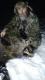 wiem.... Mia�o nie by� na lowieckim  ....ale jest!!! 