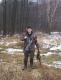 �w. Hubert podarzy� kogutem :)