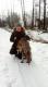 Powiatowe �owy na Drapie�niki, go�cinnie w K� Bielik Baby