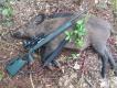 Pierwsze wiosenne wyj�cie z nowym sztucerem Sauer 303 Synchro XT Dualbrake+ Leica Magnus 1-6,3x24 Krzy� L-3D. 