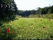 Benchrest
Wlasnie w niedziele bralem udzial w zawodach strzeleckich - benchrest-u.
Zrobilem kilka zdjec, pare sztucerkow, zebyscie zobaczyli jak to wyglada.

Konkurencja ta rozgrywana jest na 100 i 200 jardow.
Jest 5 zmian po 5 strzalow na kazdym dystansie, wygrywa
oczywiscie najlepsze skupienie. Pozniej lunch i 200 jardow.
Nastepnie bierze sie srednia z kazdej zmiany, sumuje x5 na dystans i wyciaga sie srednia.
