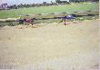 Czechy. Derby 2004
Pierwszy weekend lipca. Tor wy�cigowy Proska�ka.