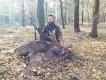 


Udane polowanie:) Byk + cielak a godzin� wcze�niej �ania jelenia:)


