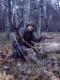 Jeszcze jedno zdj�cie mojego wymarzonego selekta. DARZ B�R 