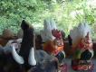 Nawet w sklepie ze '�wi�tkami' s� figurki �wi�tych dla tubylc�w kur�w Bankiva.