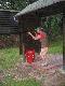 Strzelnica
Wizyta z bratem /KubaG/ na strzelnicy w Borze/Rzesz�w