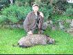 Po 5 dniach siedzenia w �owisku w ko�cu znalaz�em dziki. :-)))