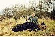 26 luty 2000r. Przeznaczony na bal my�liwski.