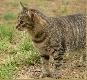Zainteresowanie? C� to mo�e by�, hmmm . . . .